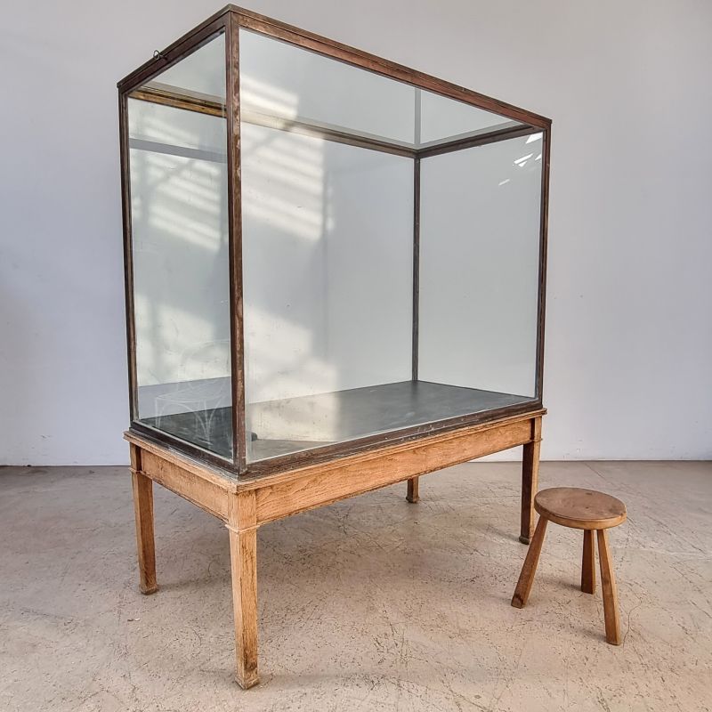 tres-grande-vitrine-de-mus-e-en-laiton-sur-pi-tement-en-ch-ne-paul