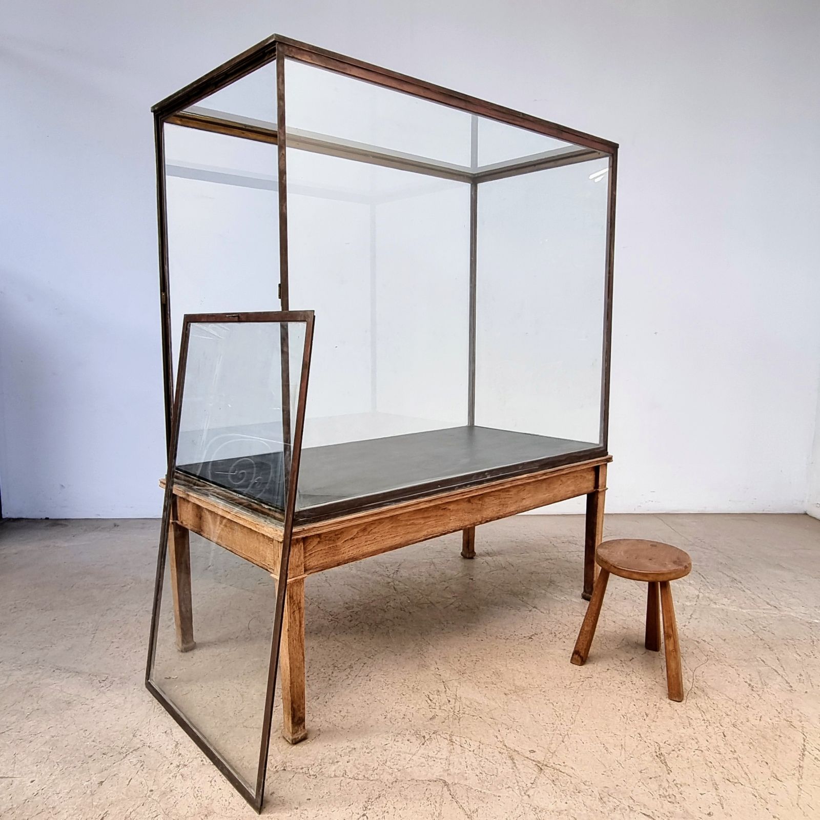 tres-grande-vitrine-de-mus-e-en-laiton-sur-pi-tement-en-ch-ne-paul