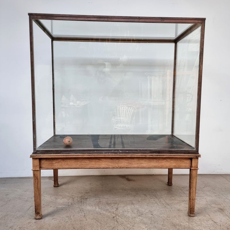 Very large museum display case in brass on oak base. Alternate view