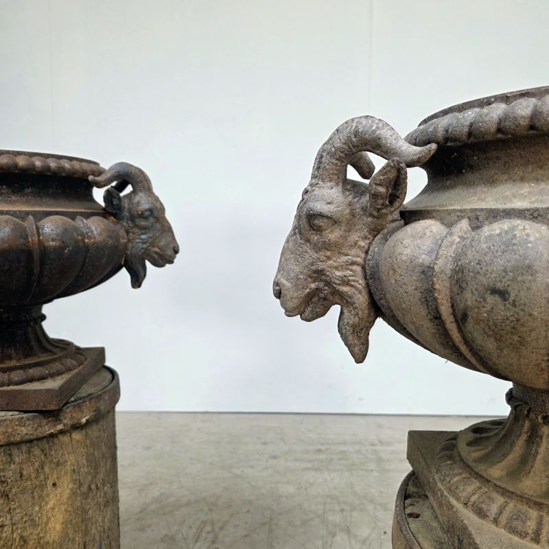 Pair of 19th cast iron urns with rams decoration. Alternate view